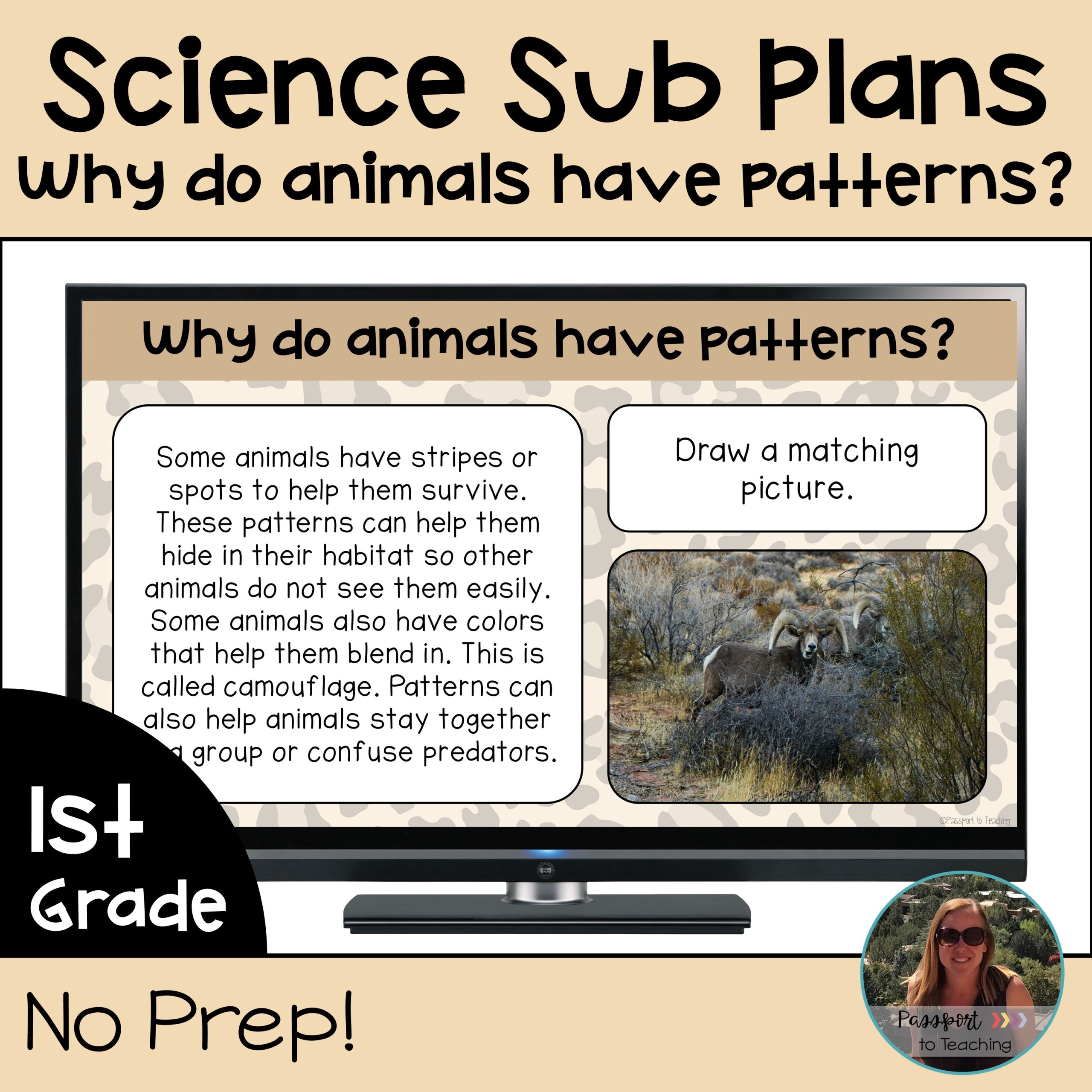 No Prep 1st Grade Science Sub Plans - Animal Camouflage - NGSS Aligned