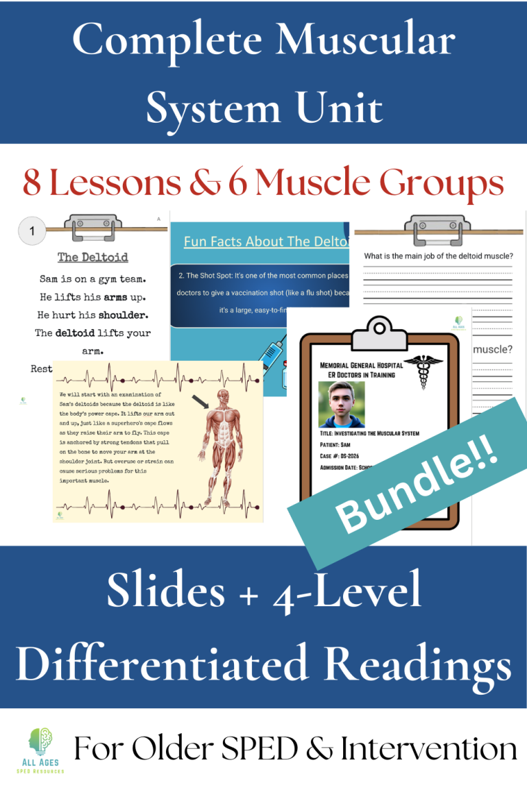 Muscular System Bundle - Interactive Slides & Leveled Readings | Made ...