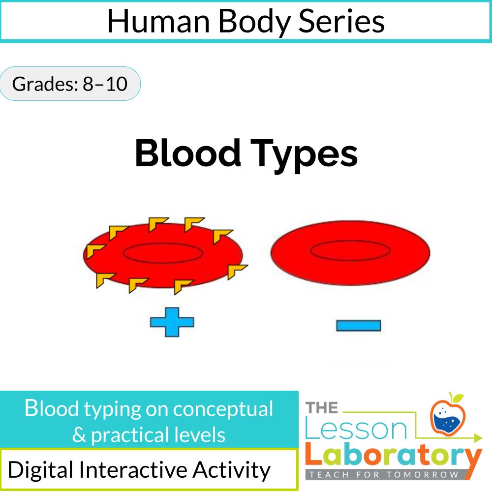 Blood Types & Blood Typing Activity | ABO & Rh Factor Interactive Digital Lesson