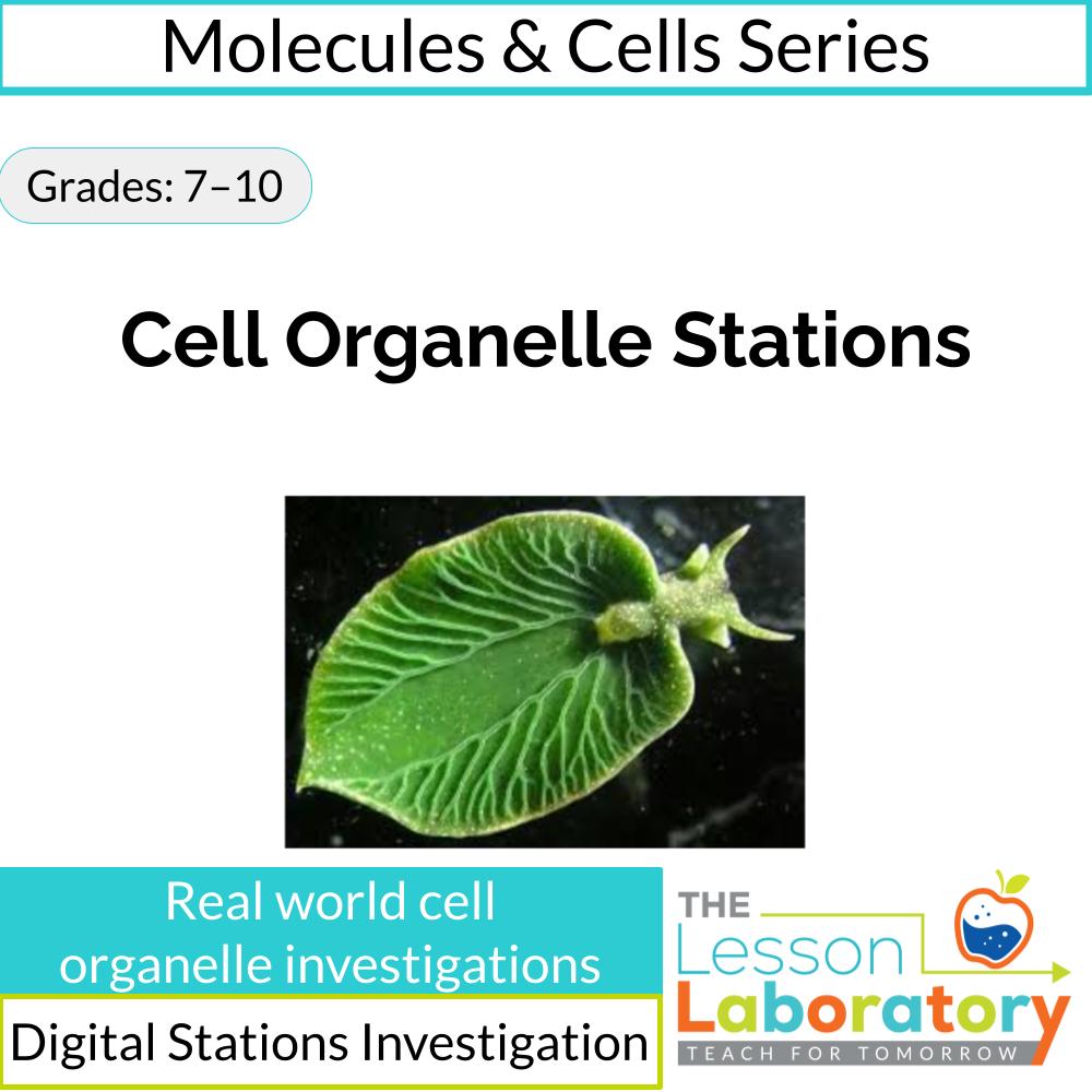Cell Organelle Stations Digital Lab- Prokaryotic Eukaryotic & Organelle Function Investigations