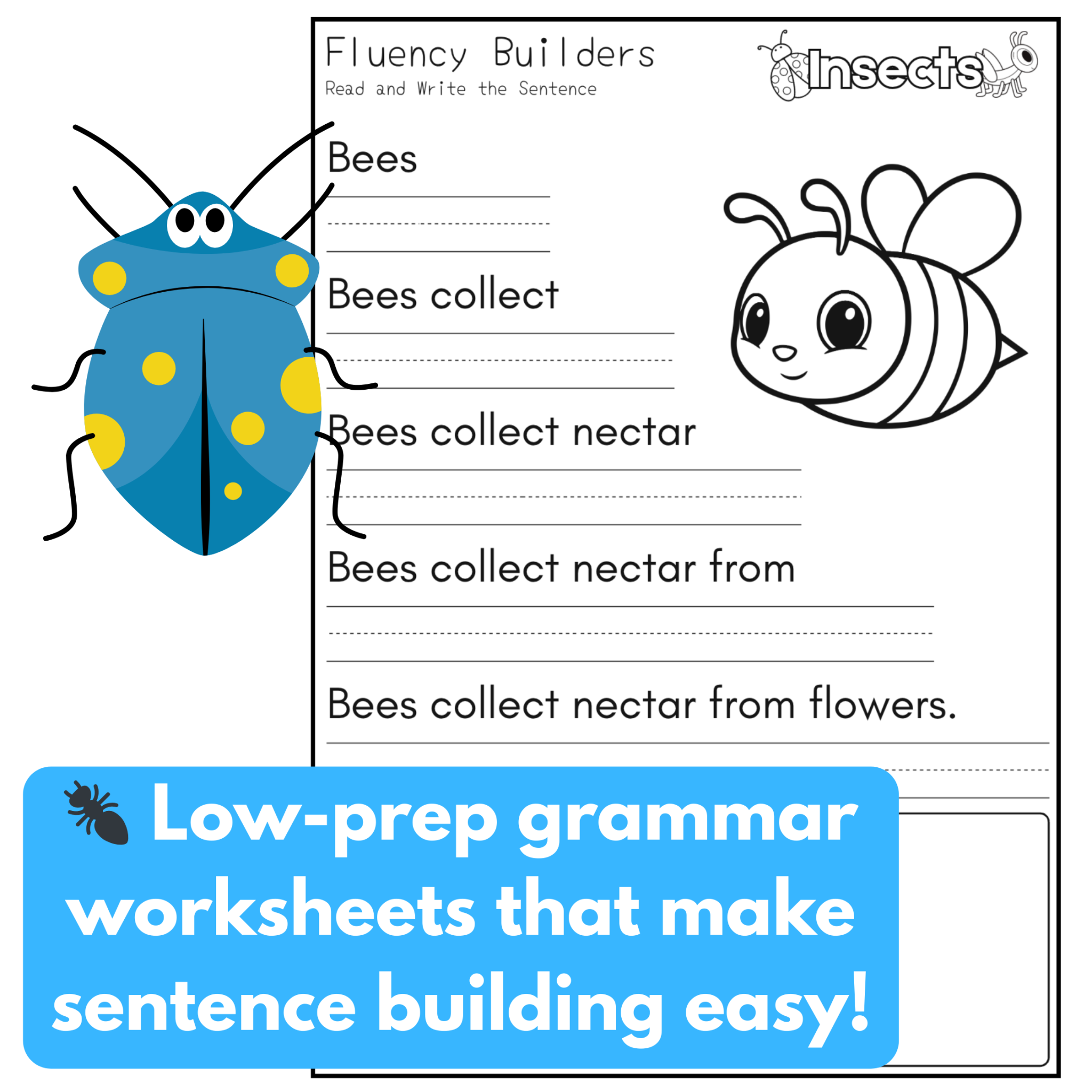 Insect Themed Sentence Pyramid Worksheets | Insect Fluency Builders ...