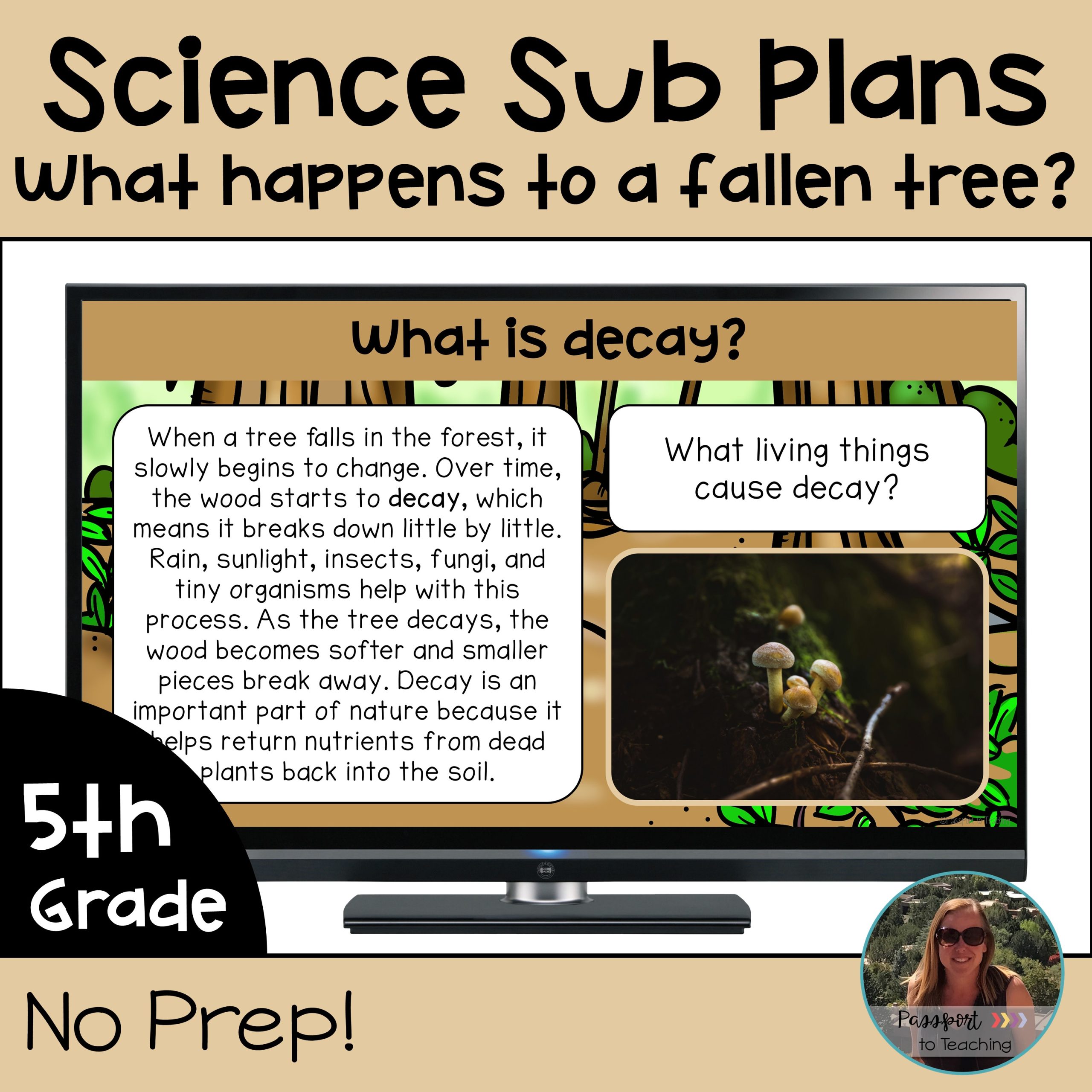 No Prep 5th Grade Science Sub Plans - Decomposition - NGSS Aligned