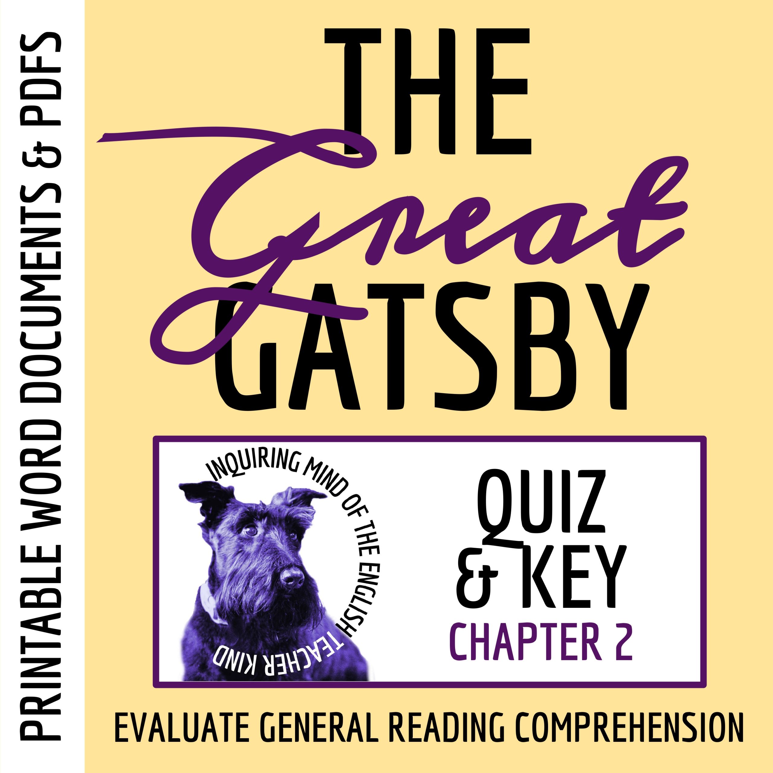 The Great Gatsby Chapter 2 Quiz and Answer Key | Independent Reading Worksheet