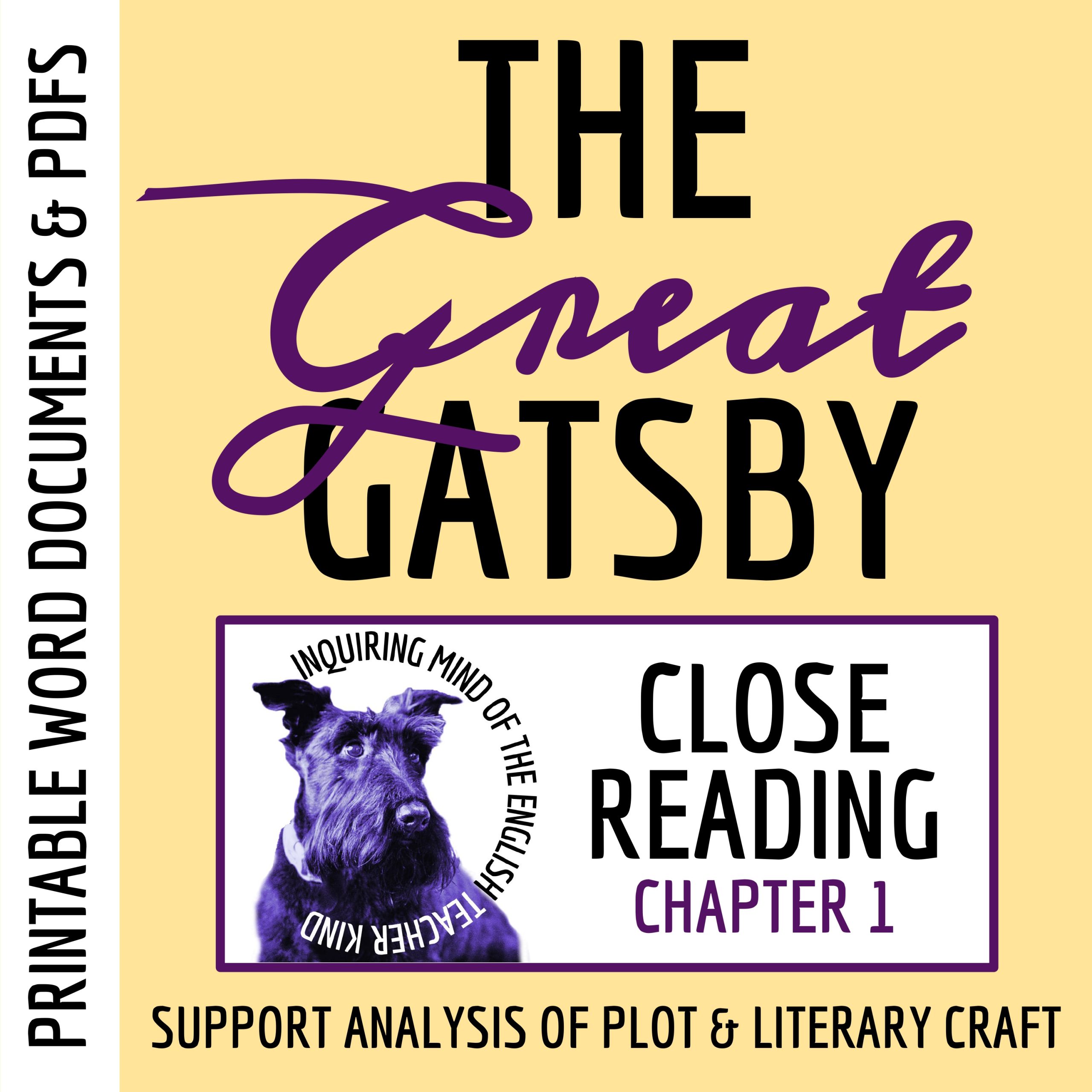 The Great Gatsby Chapter 1 Literary Analysis Worksheet | American Literature Novel Study