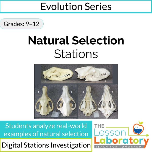 Natural Selection Stations: Trade-Offs, Coevolution, and Real-World ...
