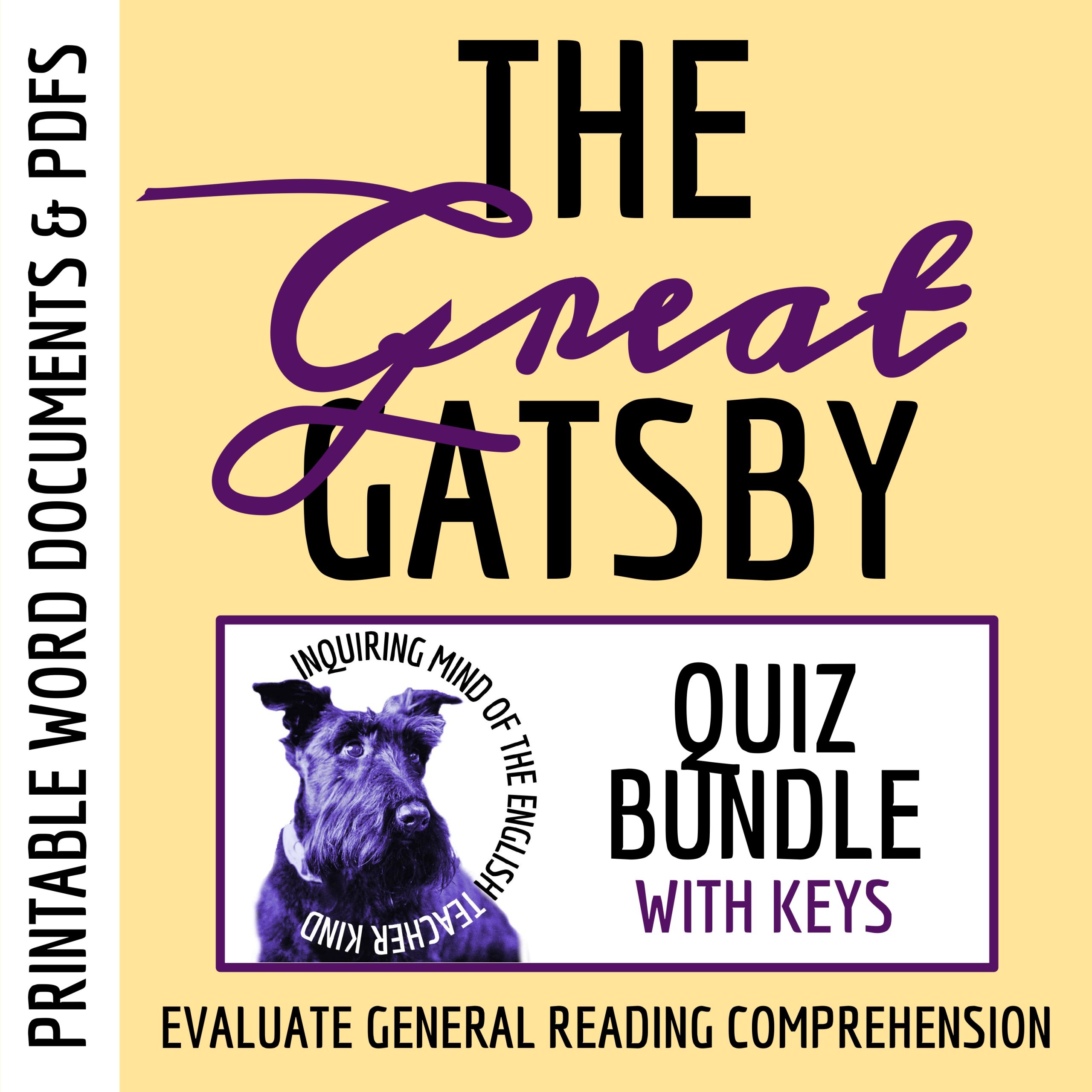 The Great Gatsby by F. Scott Fitzgerald Quizzes and Answer Keys | American Literature Assessments