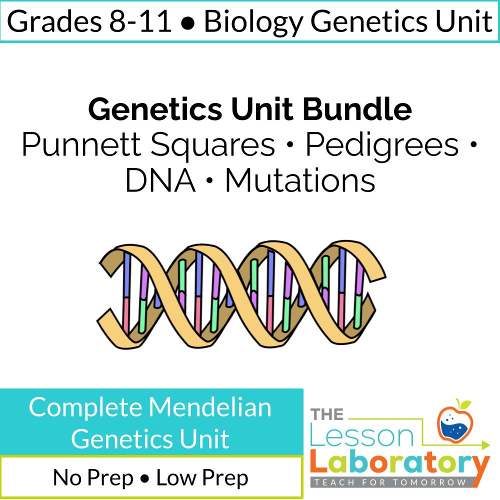 Genetics Unit Bundle | Punnett Squares, Pedigrees, DNA & Mutations