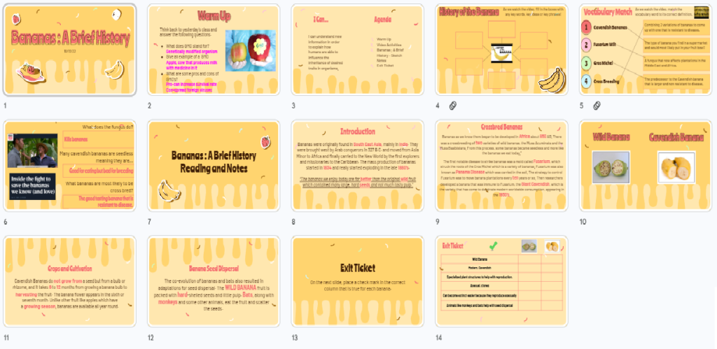 History of Bananas - Genetics (GMOs) Interactive Notebook Activity ...