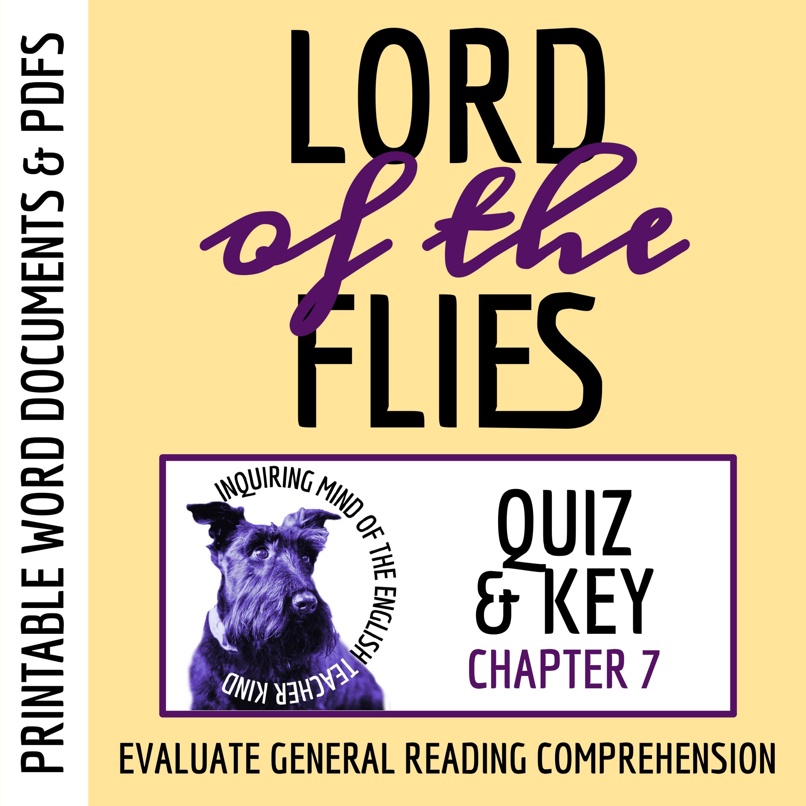 Lord of the Flies Chapter 7 Quiz and Answer Key | Guided Reading Worksheet
