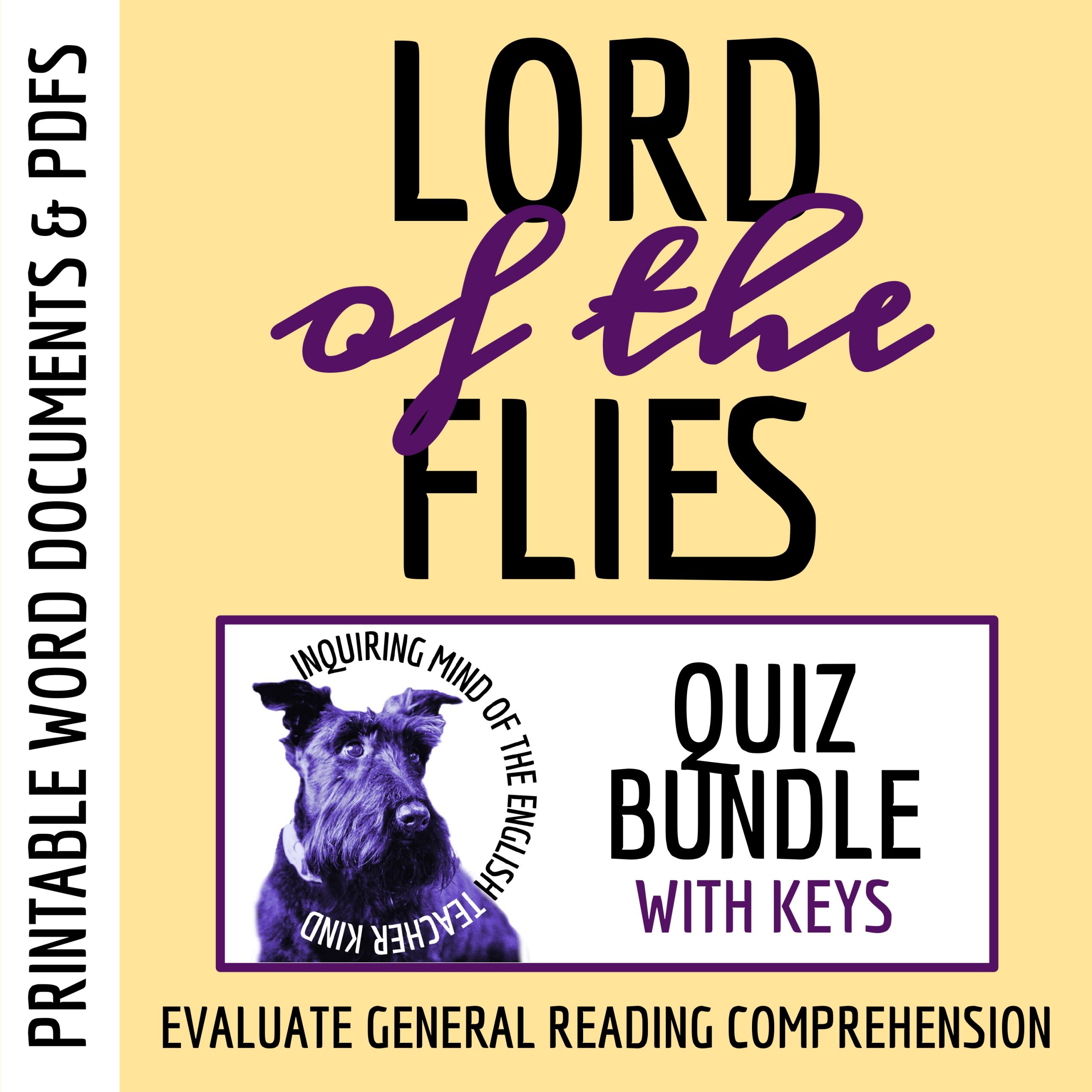 Lord of the Flies by William Golding Quiz and Answer Key Bundle