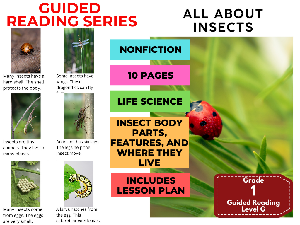 Fruits and Vegetables: Guided Reading Level G with Lesson Plan | Made ...