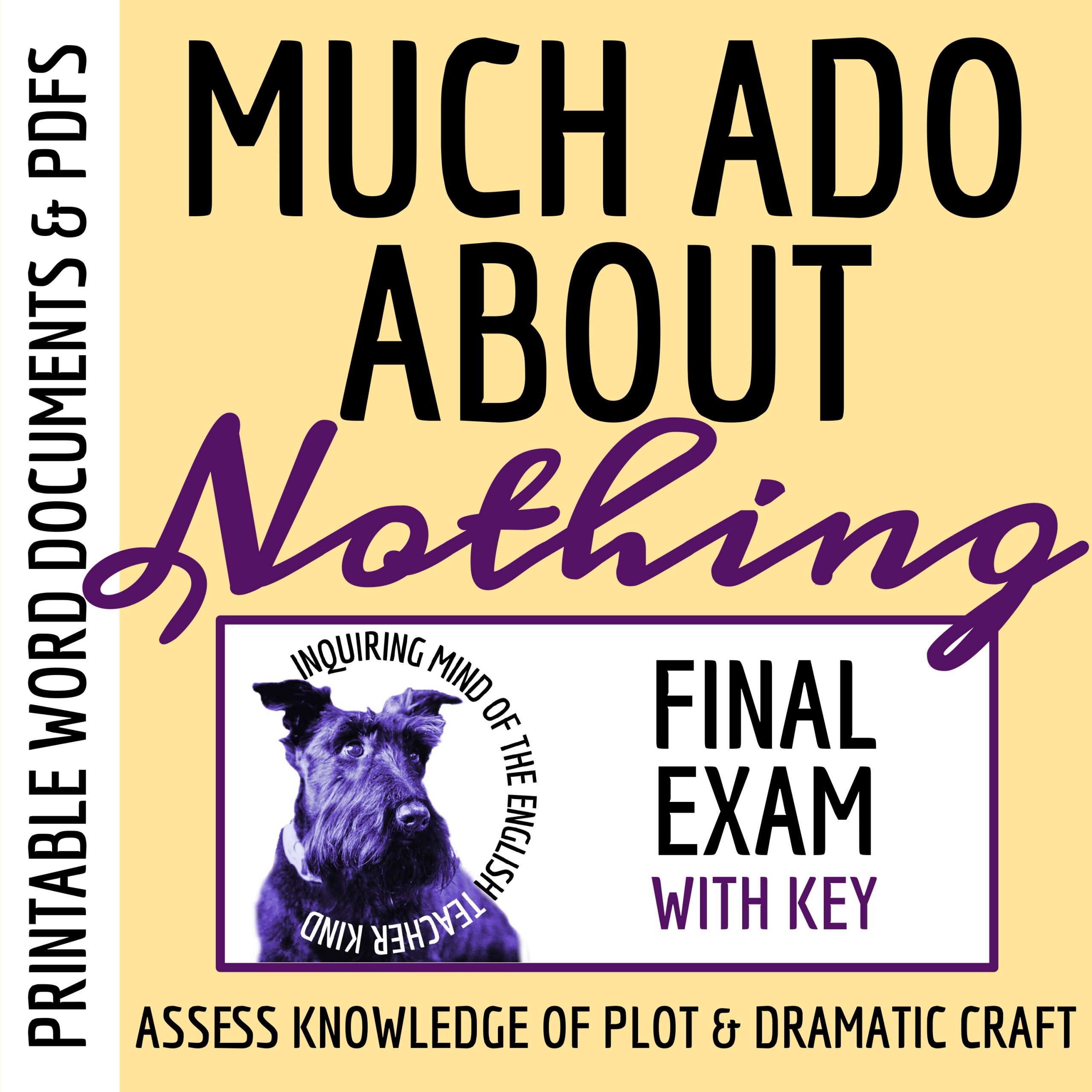 Shakespeare's Much Ado About Nothing Test and Answer Key for High School