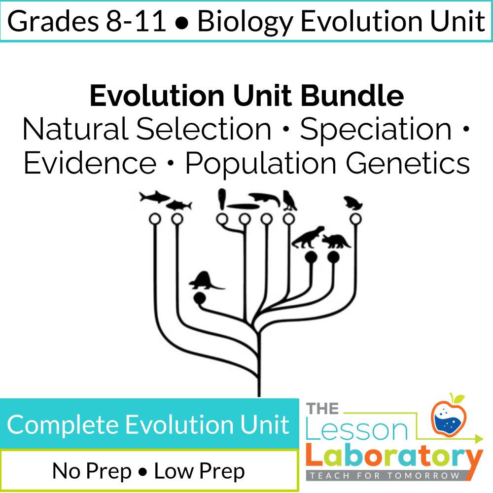 Evolution Unit Bundle- Natural Selection, Speciation, Evidence, Population Genetics