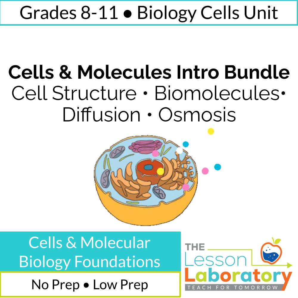 Cells & Molecular Biology Intro Bundle- Cell Structure, Membrane, Diffusion & Osmosis