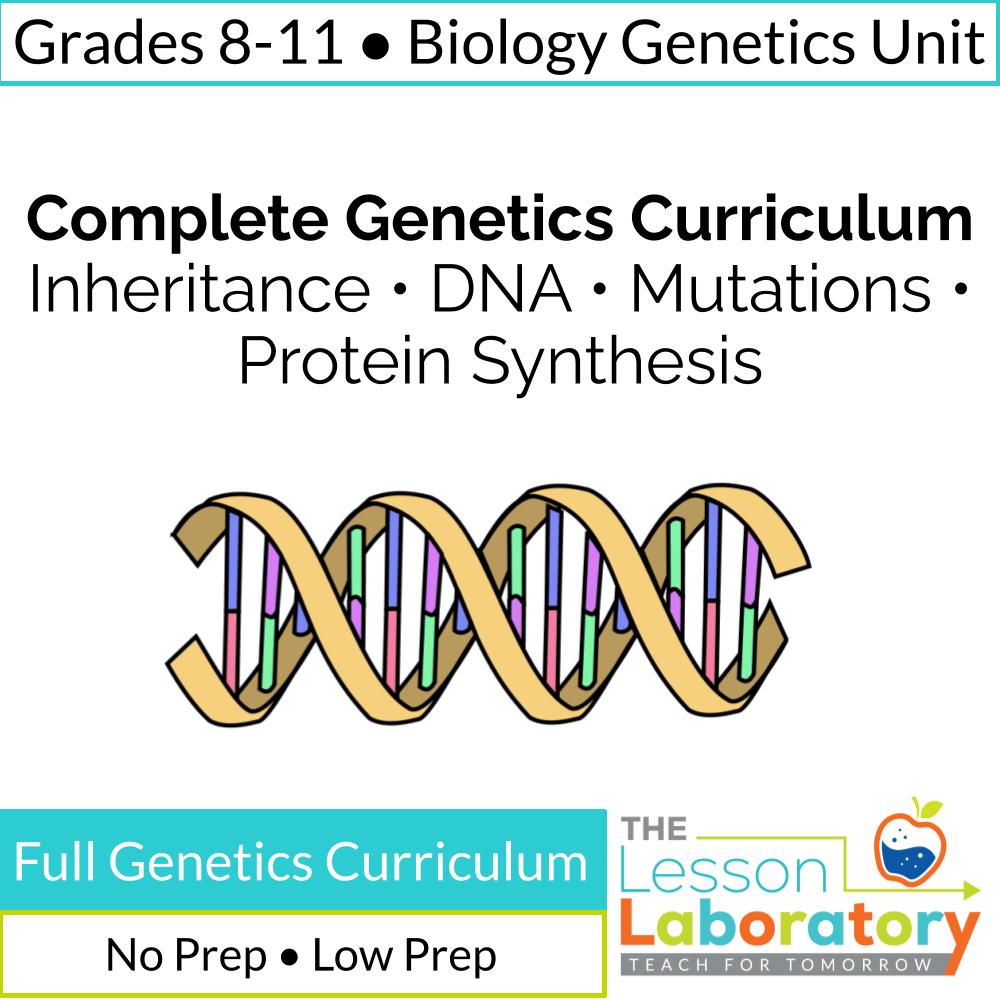 Complete Genetics Curriculum Bundle- Heredity, DNA, Mutations, Pedigrees & Protein Synthesis