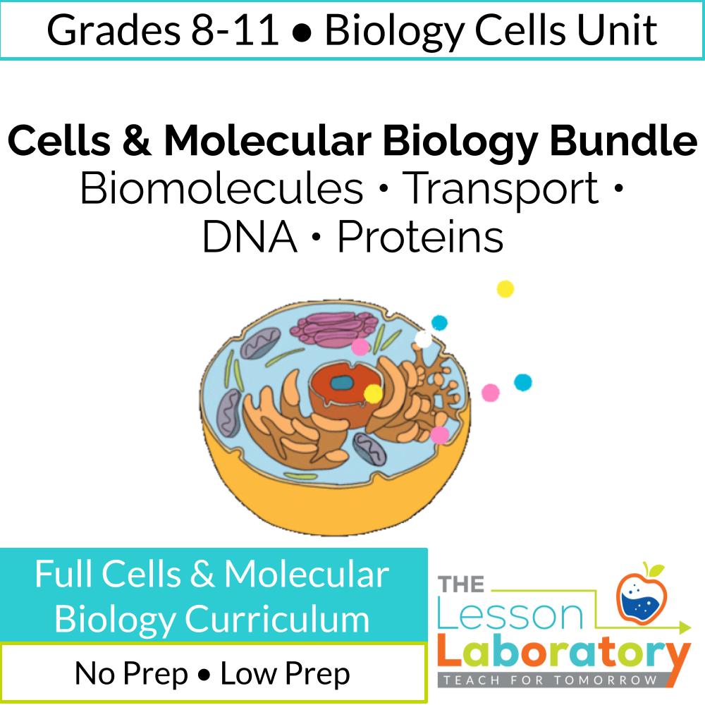 Complete Cells & Molecular Biology Curriculum- Biomolecules, Transport, Enzymes & Protein Synthesis