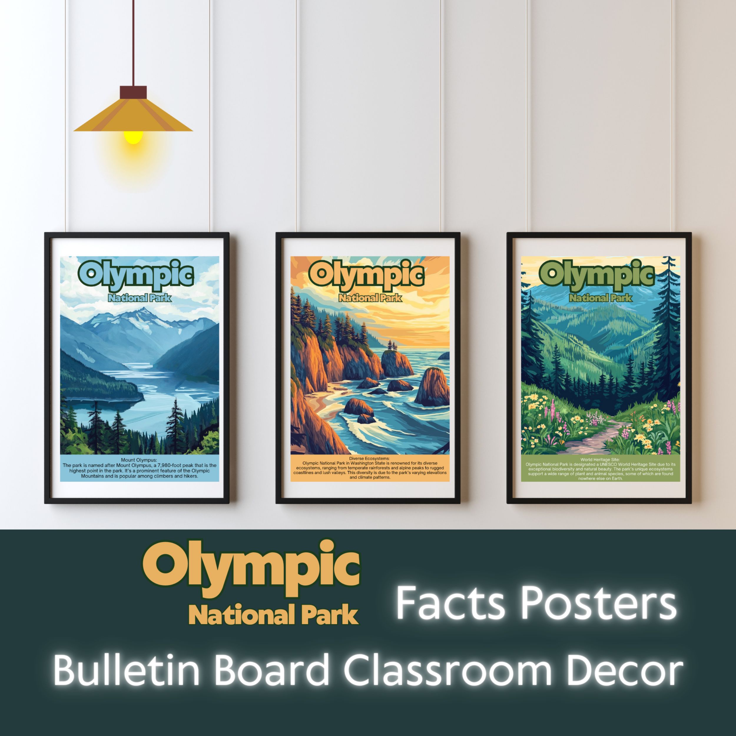 Olympic National Park Posters with Fun Facts - Printable Educational Wall Art & Travel Prints