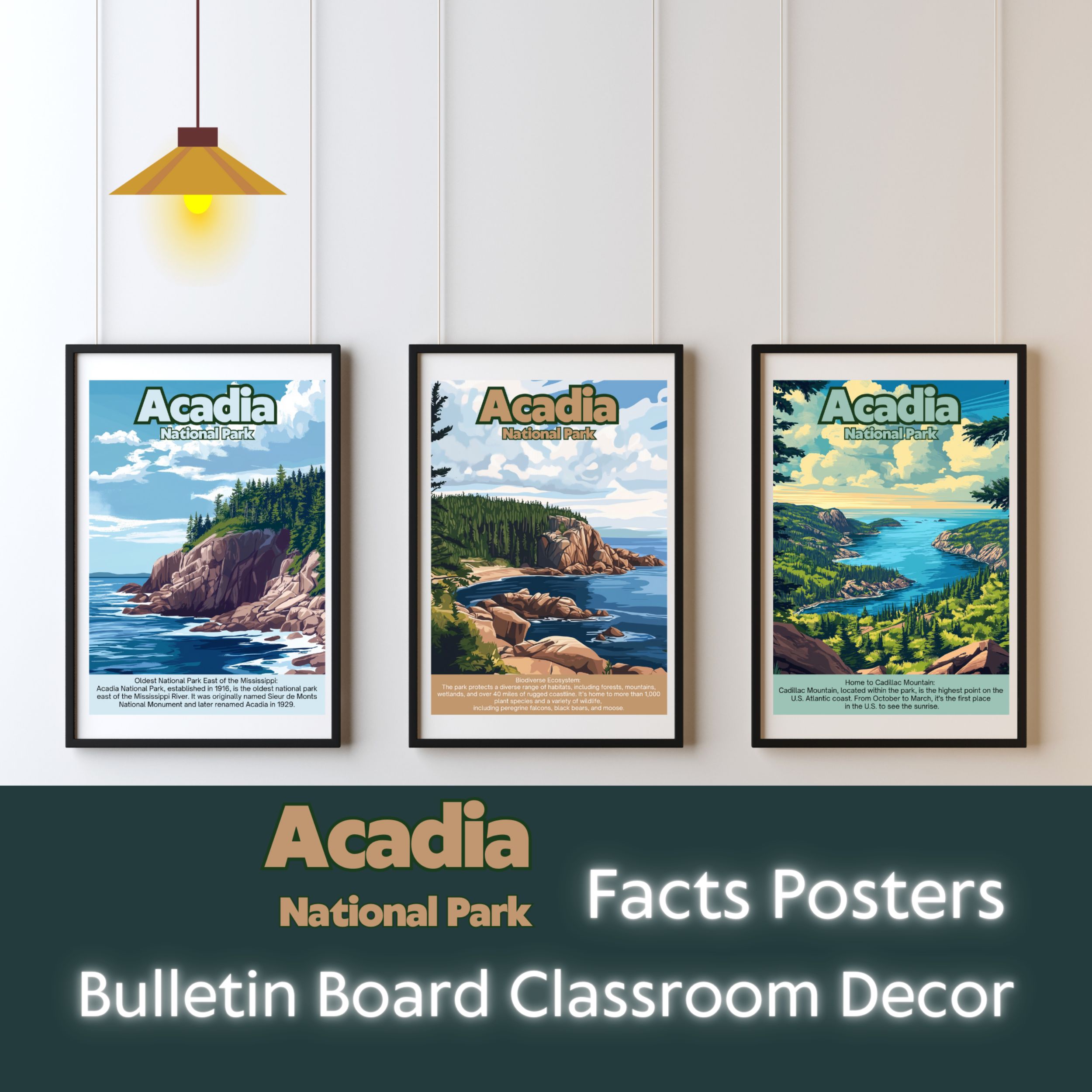 Acadia National Park Posters with Fun Facts - Printable Educational Wall Art & Travel Prints