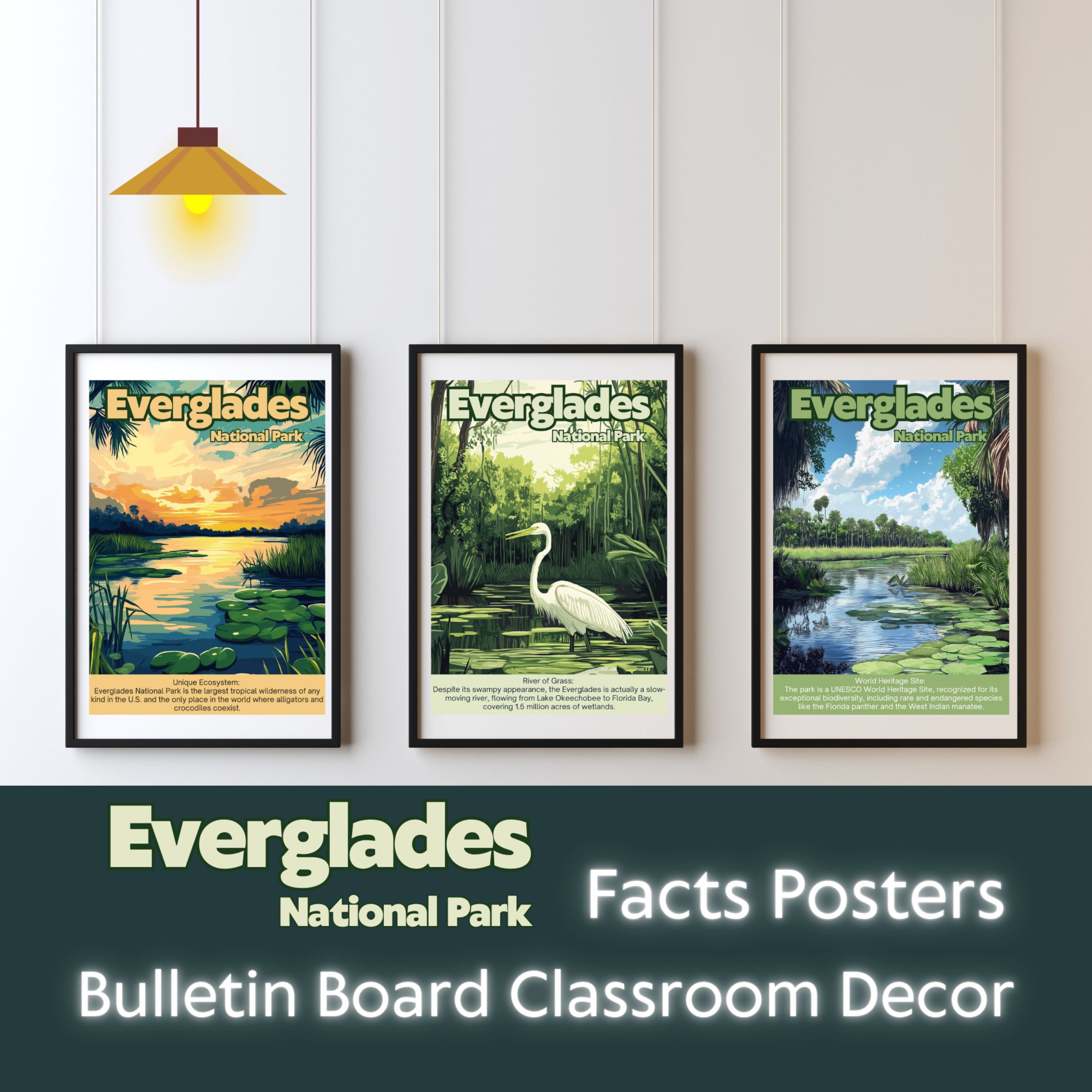 Everglades National Park Posters with Fun Facts - Printable Educational Wall Art & Travel Prints