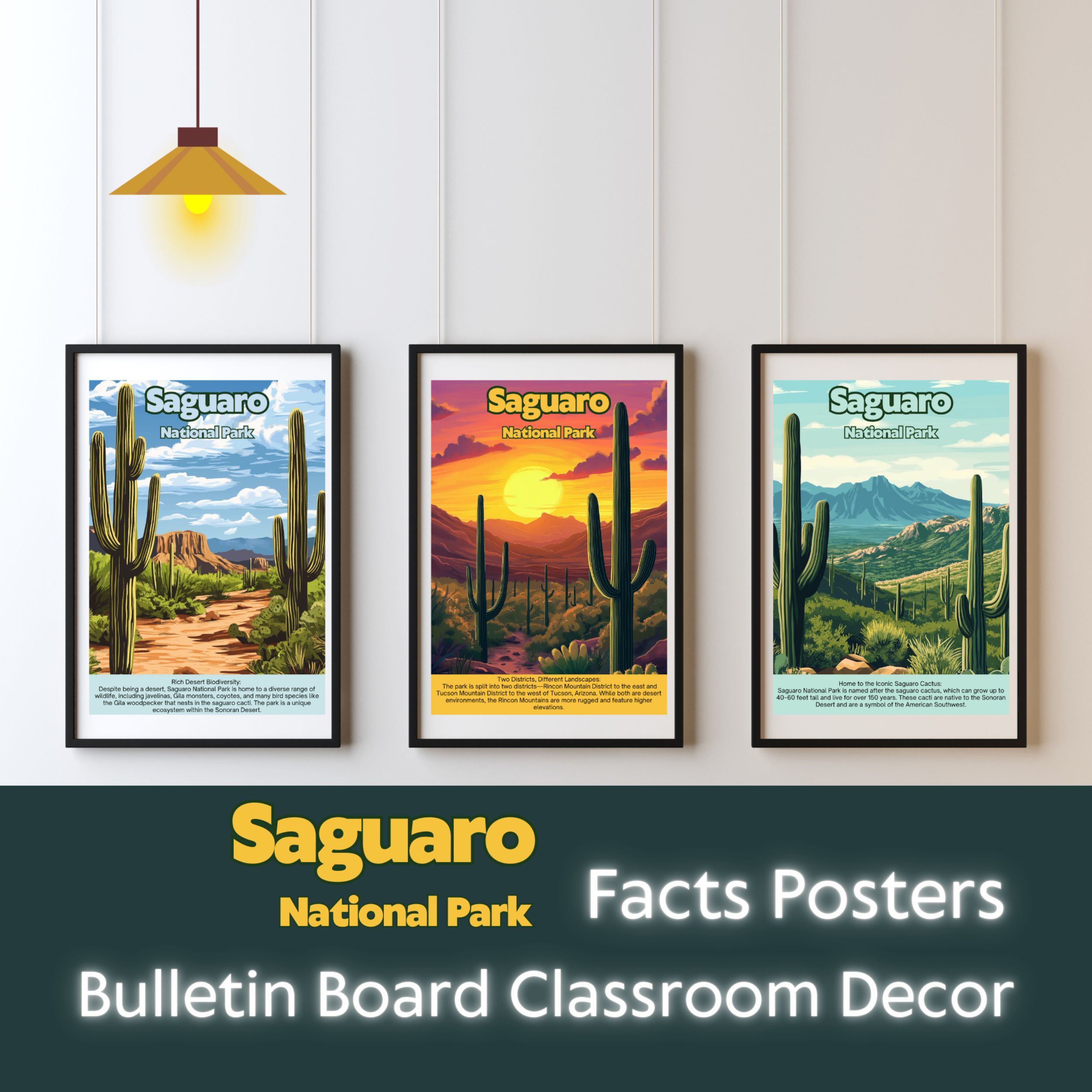 Saguaro National Park Posters with Fun Facts - Printable Educational Wall Art & Travel Prints