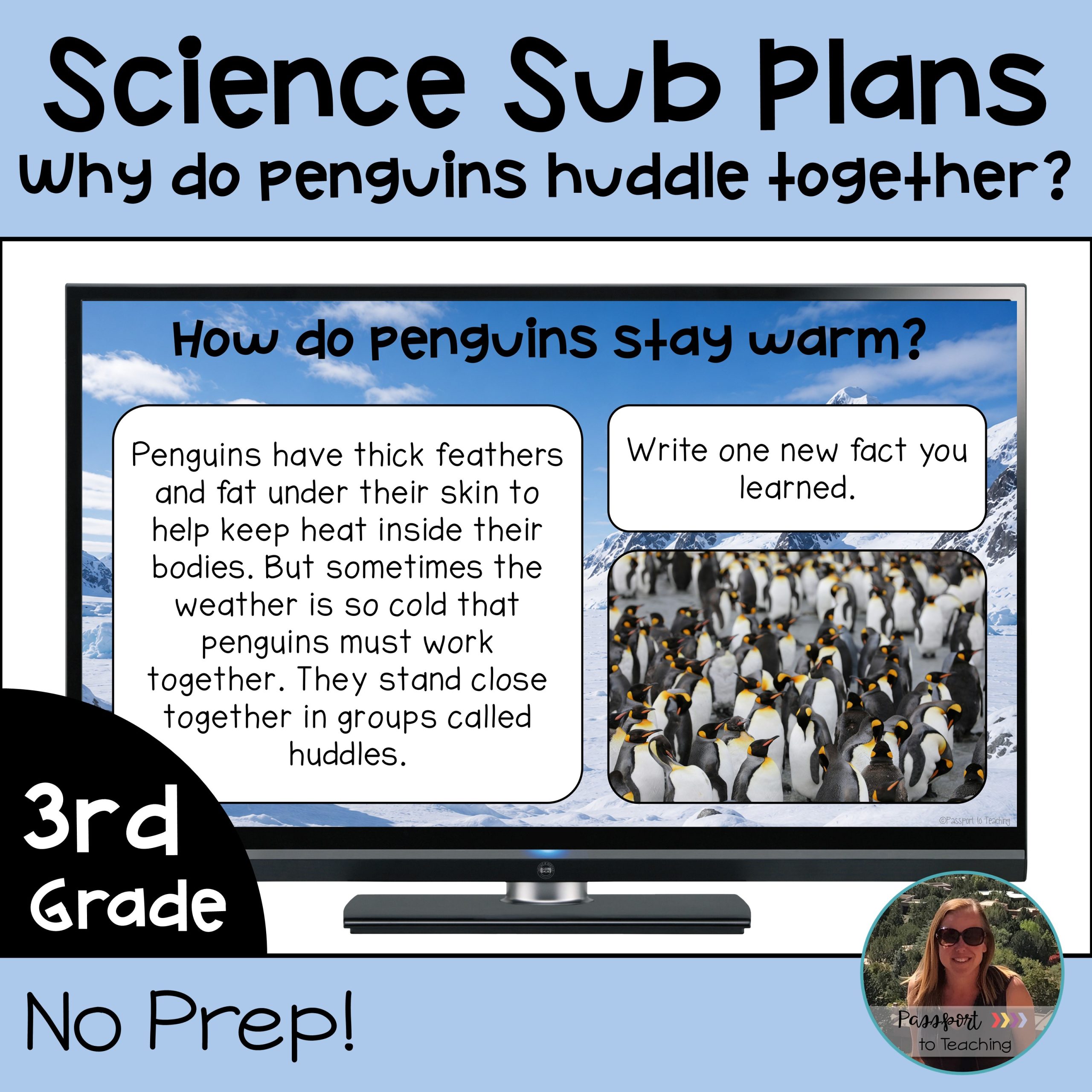 No Prep 3rd Grade Science Sub Plans - Animal Survival - NGSS Aligned